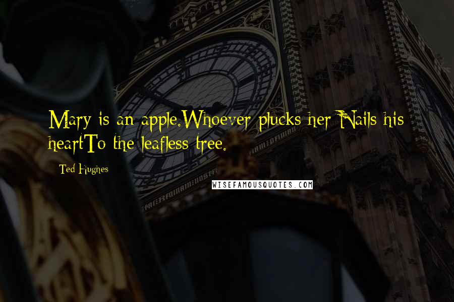 Ted Hughes Quotes: Mary is an apple.Whoever plucks her Nails his heartTo the leafless tree.