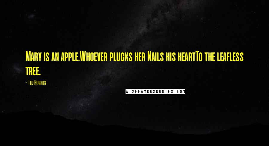 Ted Hughes Quotes: Mary is an apple.Whoever plucks her Nails his heartTo the leafless tree.