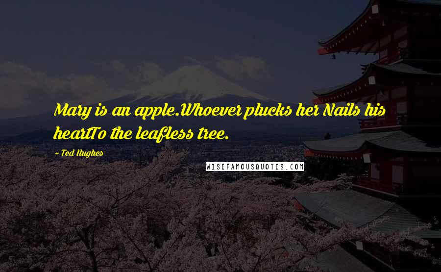 Ted Hughes Quotes: Mary is an apple.Whoever plucks her Nails his heartTo the leafless tree.