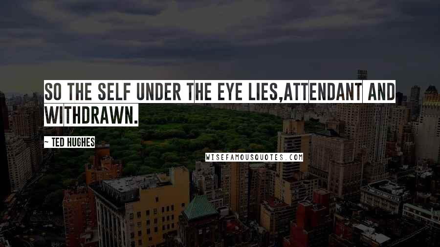 Ted Hughes Quotes: So the self under the eye lies,Attendant and withdrawn.