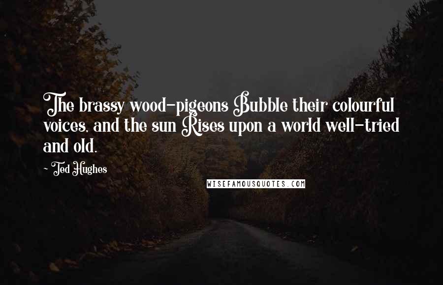Ted Hughes Quotes: The brassy wood-pigeons Bubble their colourful voices, and the sun Rises upon a world well-tried and old.