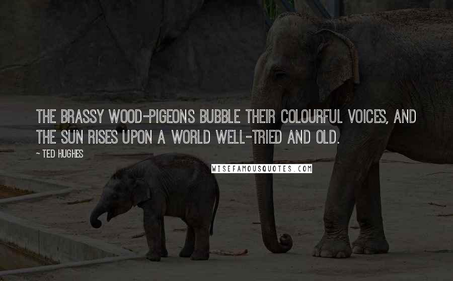 Ted Hughes Quotes: The brassy wood-pigeons Bubble their colourful voices, and the sun Rises upon a world well-tried and old.