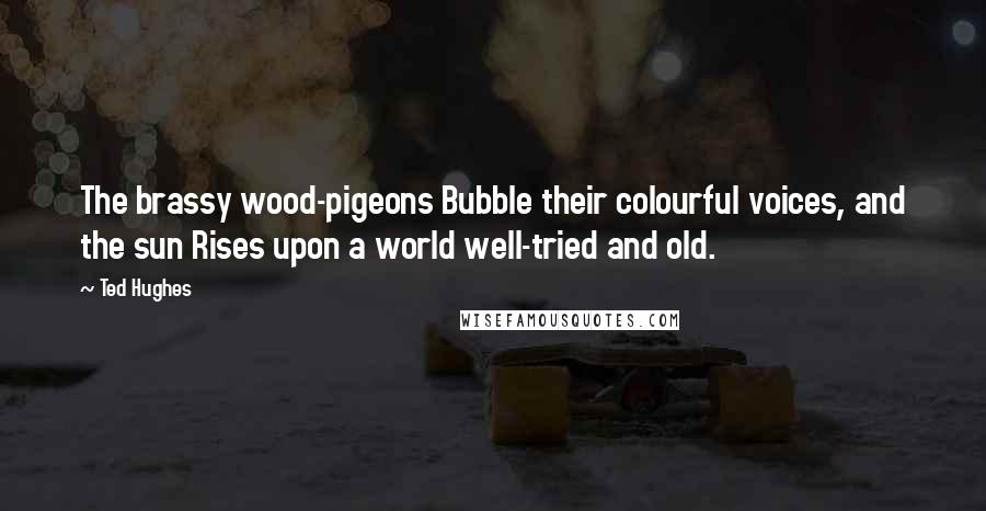 Ted Hughes Quotes: The brassy wood-pigeons Bubble their colourful voices, and the sun Rises upon a world well-tried and old.