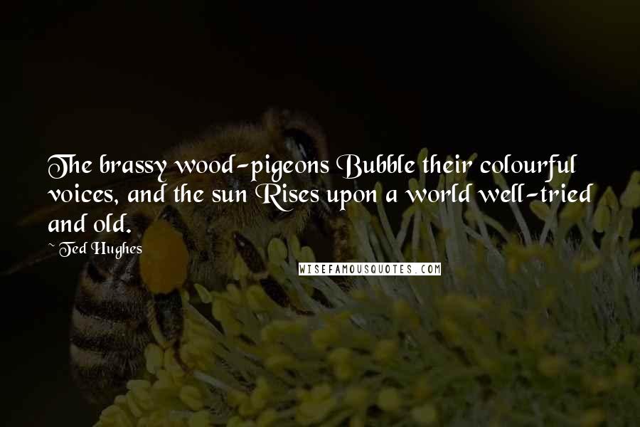 Ted Hughes Quotes: The brassy wood-pigeons Bubble their colourful voices, and the sun Rises upon a world well-tried and old.