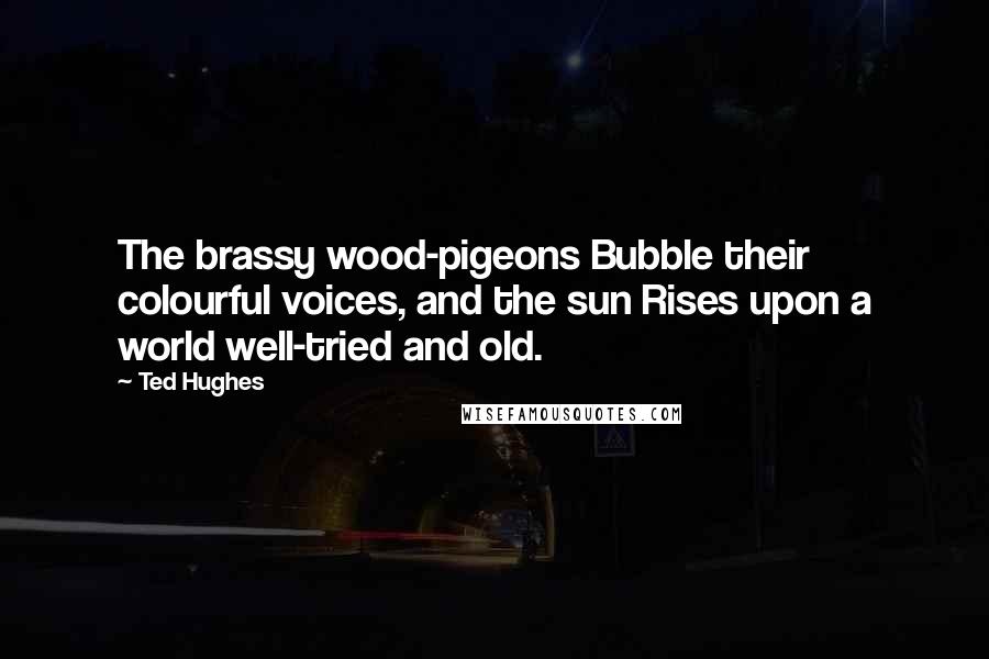 Ted Hughes Quotes: The brassy wood-pigeons Bubble their colourful voices, and the sun Rises upon a world well-tried and old.