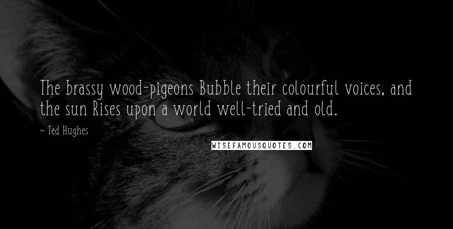 Ted Hughes Quotes: The brassy wood-pigeons Bubble their colourful voices, and the sun Rises upon a world well-tried and old.