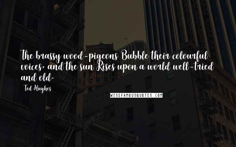 Ted Hughes Quotes: The brassy wood-pigeons Bubble their colourful voices, and the sun Rises upon a world well-tried and old.