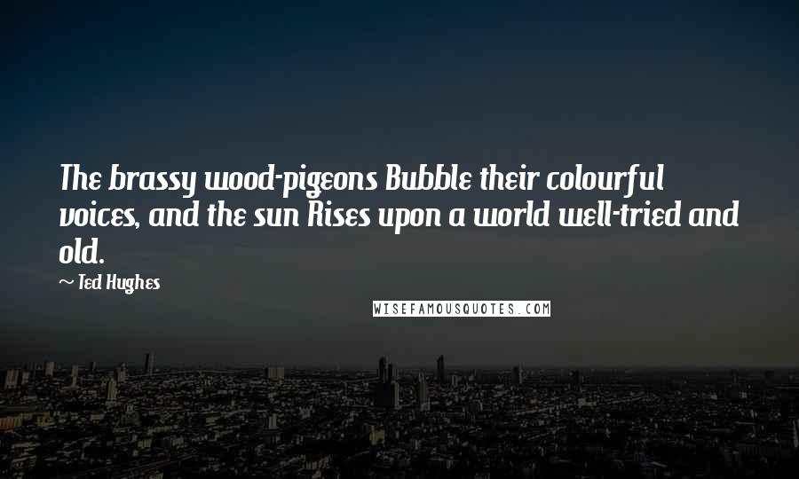 Ted Hughes Quotes: The brassy wood-pigeons Bubble their colourful voices, and the sun Rises upon a world well-tried and old.