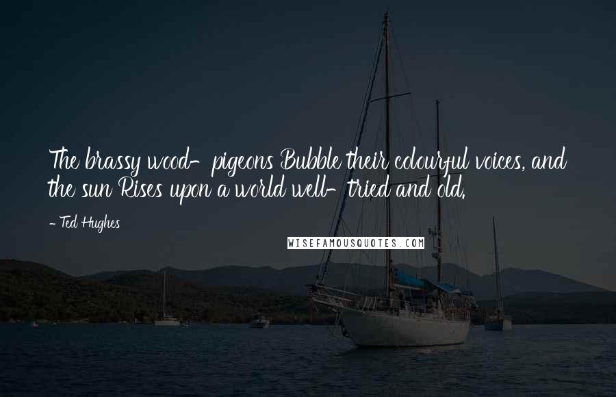 Ted Hughes Quotes: The brassy wood-pigeons Bubble their colourful voices, and the sun Rises upon a world well-tried and old.