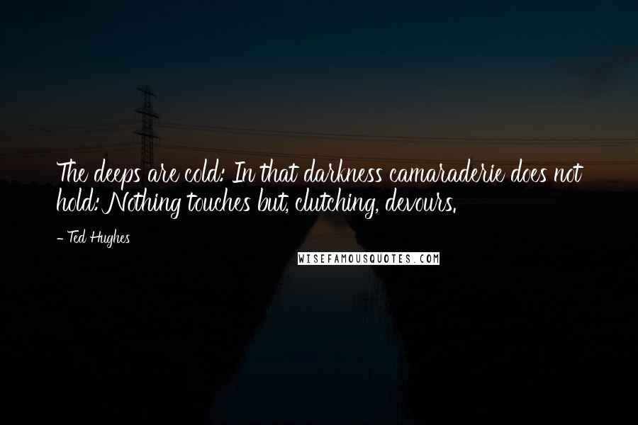 Ted Hughes Quotes: The deeps are cold: In that darkness camaraderie does not hold: Nothing touches but, clutching, devours.