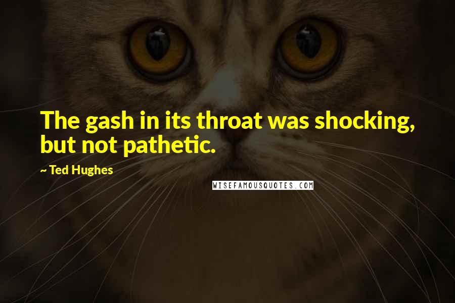 Ted Hughes Quotes: The gash in its throat was shocking, but not pathetic.