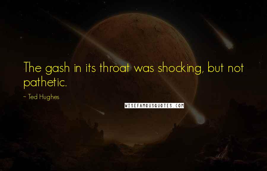 Ted Hughes Quotes: The gash in its throat was shocking, but not pathetic.