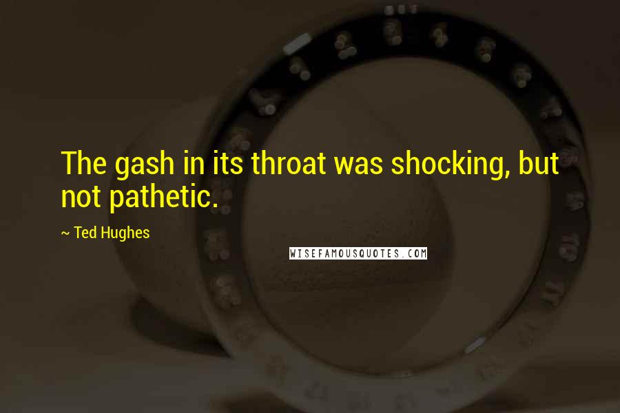 Ted Hughes Quotes: The gash in its throat was shocking, but not pathetic.