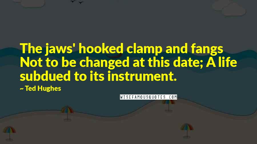 Ted Hughes Quotes: The jaws' hooked clamp and fangs Not to be changed at this date; A life subdued to its instrument.