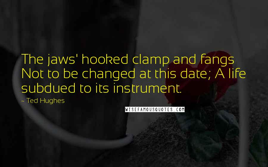 Ted Hughes Quotes: The jaws' hooked clamp and fangs Not to be changed at this date; A life subdued to its instrument.