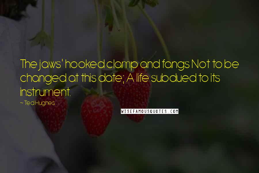 Ted Hughes Quotes: The jaws' hooked clamp and fangs Not to be changed at this date; A life subdued to its instrument.