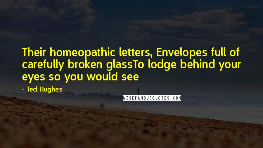 Ted Hughes Quotes: Their homeopathic letters, Envelopes full of carefully broken glassTo lodge behind your eyes so you would see