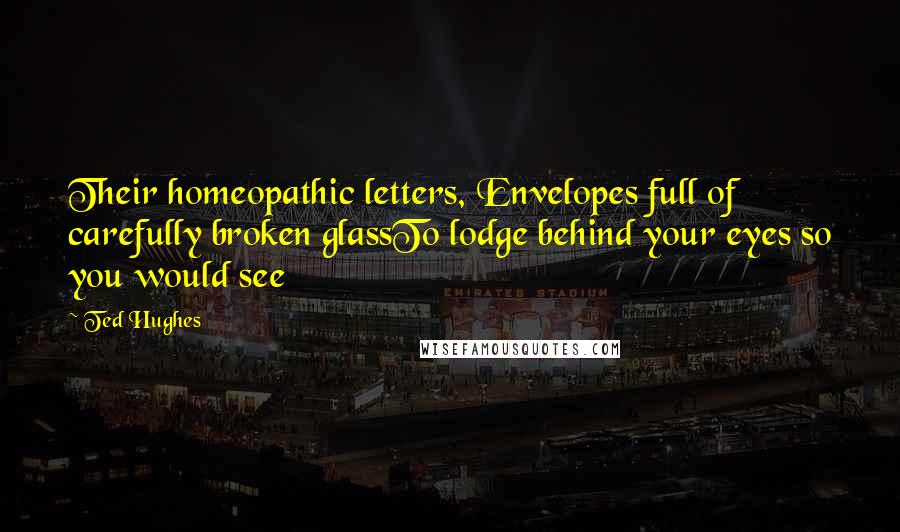 Ted Hughes Quotes: Their homeopathic letters, Envelopes full of carefully broken glassTo lodge behind your eyes so you would see