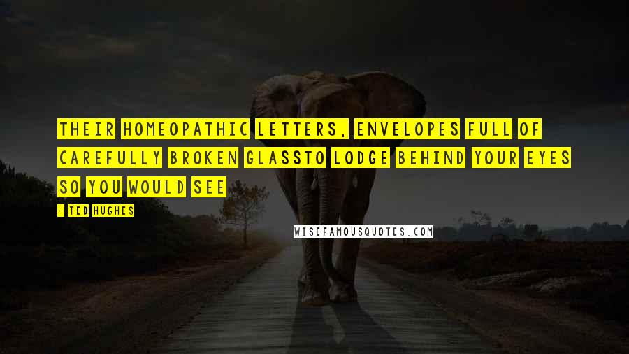 Ted Hughes Quotes: Their homeopathic letters, Envelopes full of carefully broken glassTo lodge behind your eyes so you would see