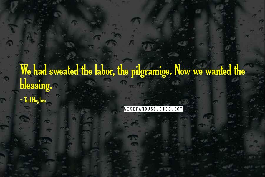 Ted Hughes Quotes: We had sweated the labor, the pilgramige. Now we wanted the blessing.