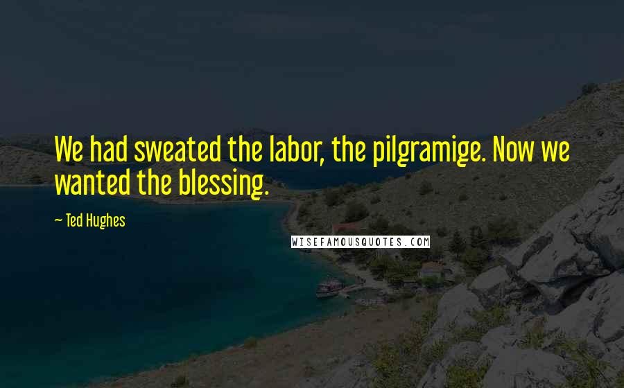 Ted Hughes Quotes: We had sweated the labor, the pilgramige. Now we wanted the blessing.