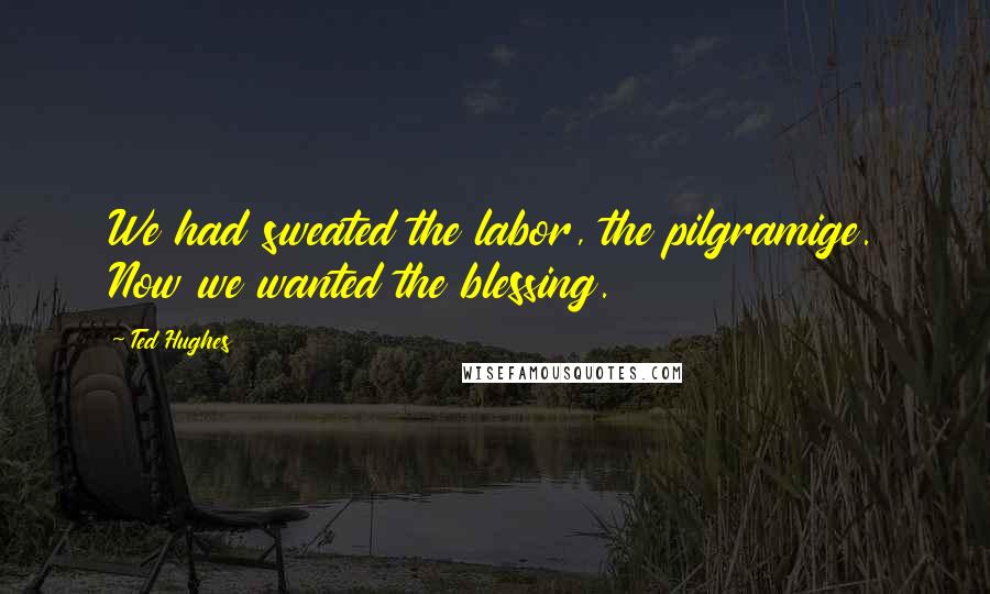 Ted Hughes Quotes: We had sweated the labor, the pilgramige. Now we wanted the blessing.