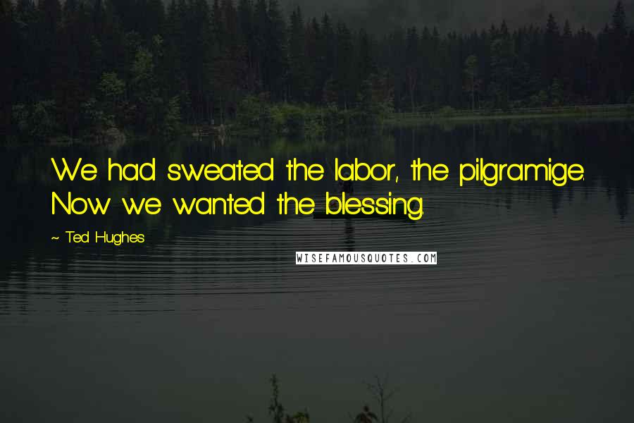 Ted Hughes Quotes: We had sweated the labor, the pilgramige. Now we wanted the blessing.