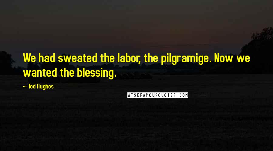 Ted Hughes Quotes: We had sweated the labor, the pilgramige. Now we wanted the blessing.