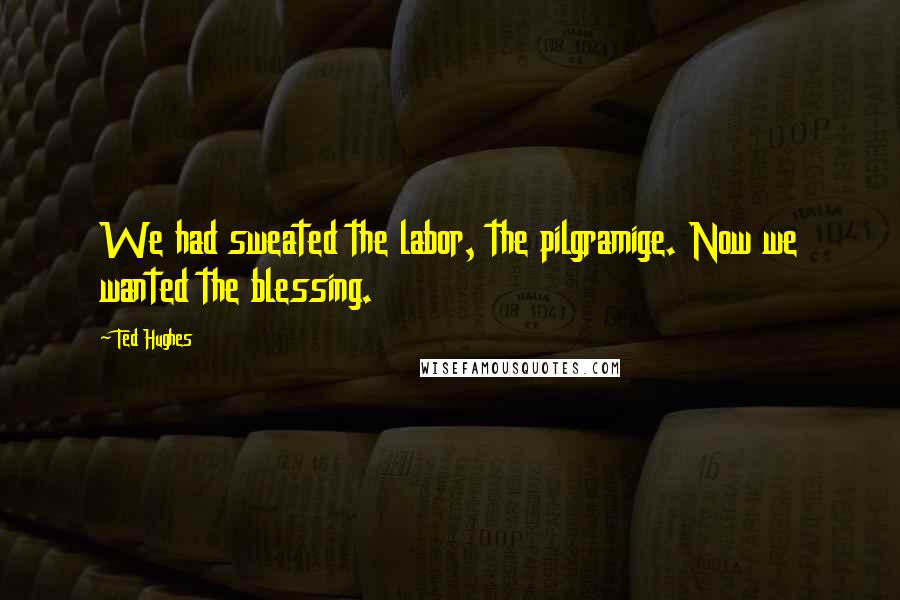 Ted Hughes Quotes: We had sweated the labor, the pilgramige. Now we wanted the blessing.