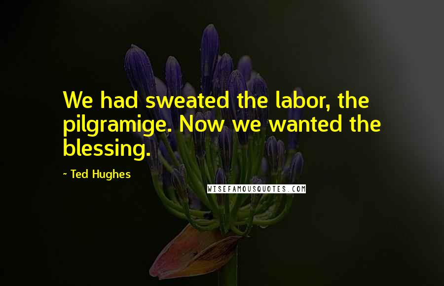 Ted Hughes Quotes: We had sweated the labor, the pilgramige. Now we wanted the blessing.