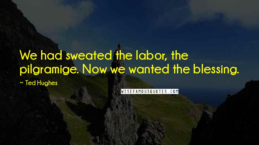 Ted Hughes Quotes: We had sweated the labor, the pilgramige. Now we wanted the blessing.