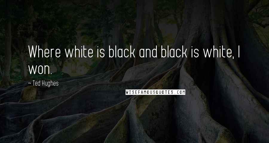 Ted Hughes Quotes: Where white is black and black is white, I won.