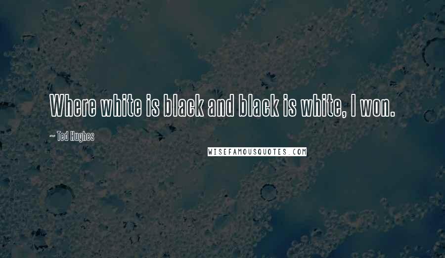 Ted Hughes Quotes: Where white is black and black is white, I won.