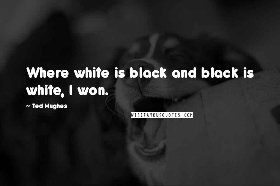 Ted Hughes Quotes: Where white is black and black is white, I won.