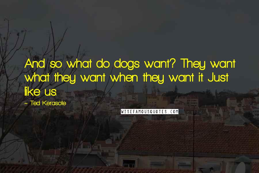 Ted Kerasote Quotes: And so what do dogs want? They want what they want when they want it. Just like us.