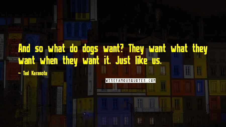 Ted Kerasote Quotes: And so what do dogs want? They want what they want when they want it. Just like us.