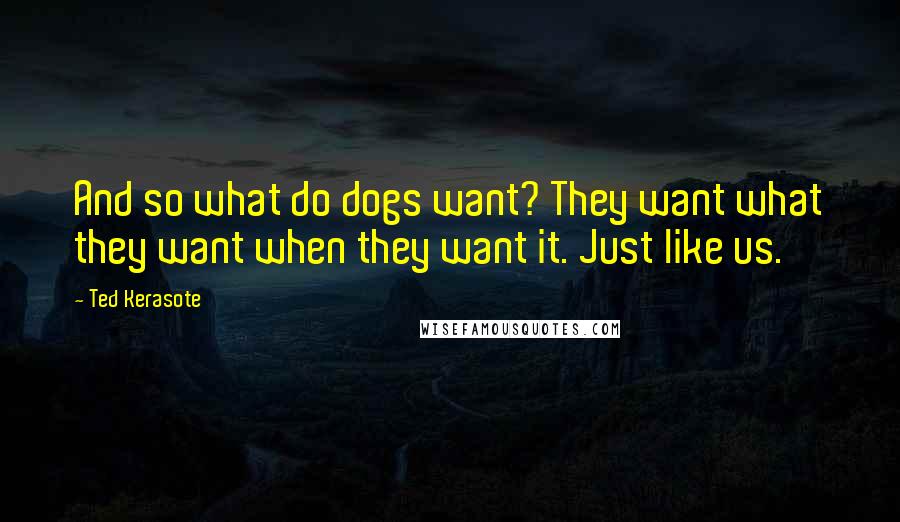 Ted Kerasote Quotes: And so what do dogs want? They want what they want when they want it. Just like us.
