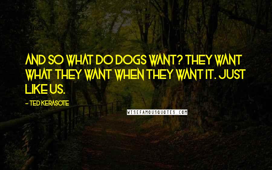 Ted Kerasote Quotes: And so what do dogs want? They want what they want when they want it. Just like us.