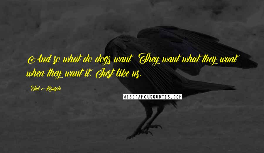 Ted Kerasote Quotes: And so what do dogs want? They want what they want when they want it. Just like us.