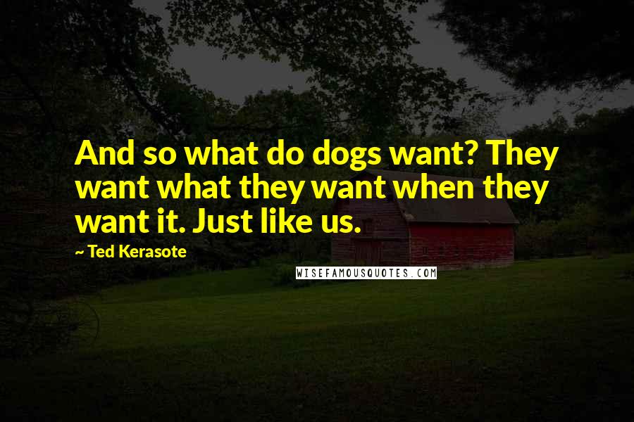 Ted Kerasote Quotes: And so what do dogs want? They want what they want when they want it. Just like us.