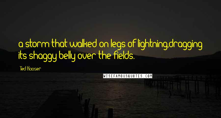 Ted Kooser Quotes: a storm that walked on legs of lightning,dragging its shaggy belly over the fields.