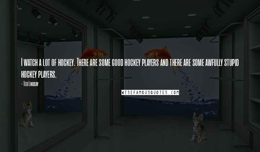 Ted Lindsay Quotes: I watch a lot of hockey. There are some good hockey players and there are some awfully stupid hockey players.