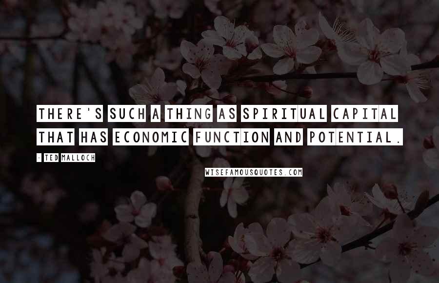 Ted Malloch Quotes: There's such a thing as spiritual capital that has economic function and potential.