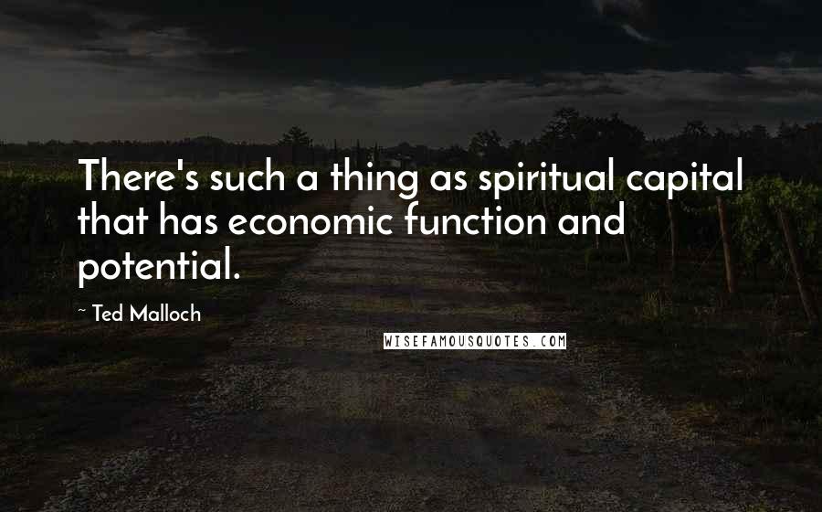 Ted Malloch Quotes: There's such a thing as spiritual capital that has economic function and potential.