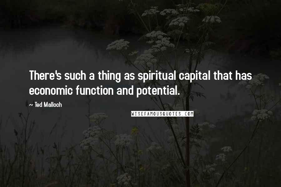 Ted Malloch Quotes: There's such a thing as spiritual capital that has economic function and potential.