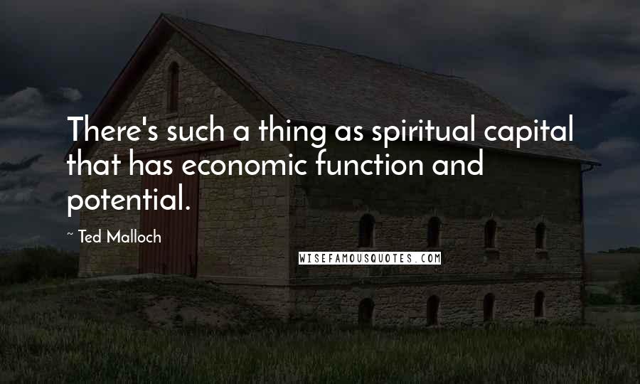 Ted Malloch Quotes: There's such a thing as spiritual capital that has economic function and potential.