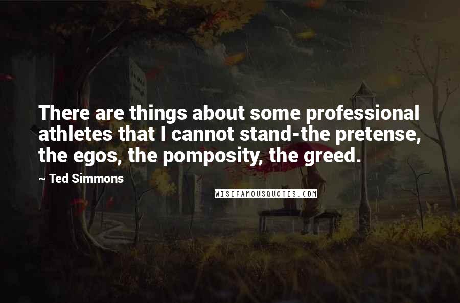 Ted Simmons Quotes: There are things about some professional athletes that I cannot stand-the pretense, the egos, the pomposity, the greed.