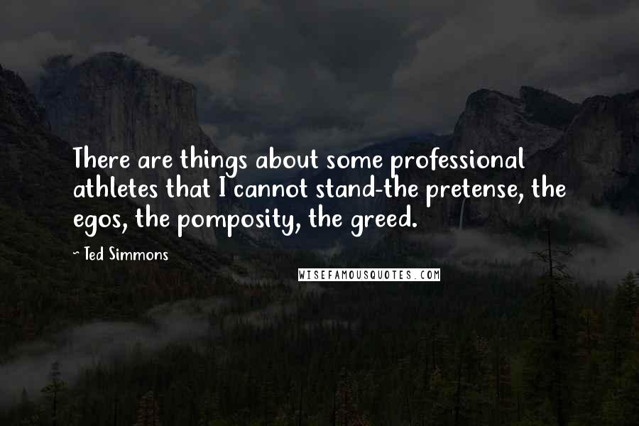 Ted Simmons Quotes: There are things about some professional athletes that I cannot stand-the pretense, the egos, the pomposity, the greed.