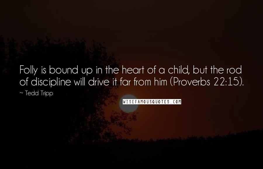 Tedd Tripp Quotes: Folly is bound up in the heart of a child, but the rod of discipline will drive it far from him (Proverbs 22:15).