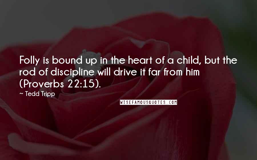 Tedd Tripp Quotes: Folly is bound up in the heart of a child, but the rod of discipline will drive it far from him (Proverbs 22:15).